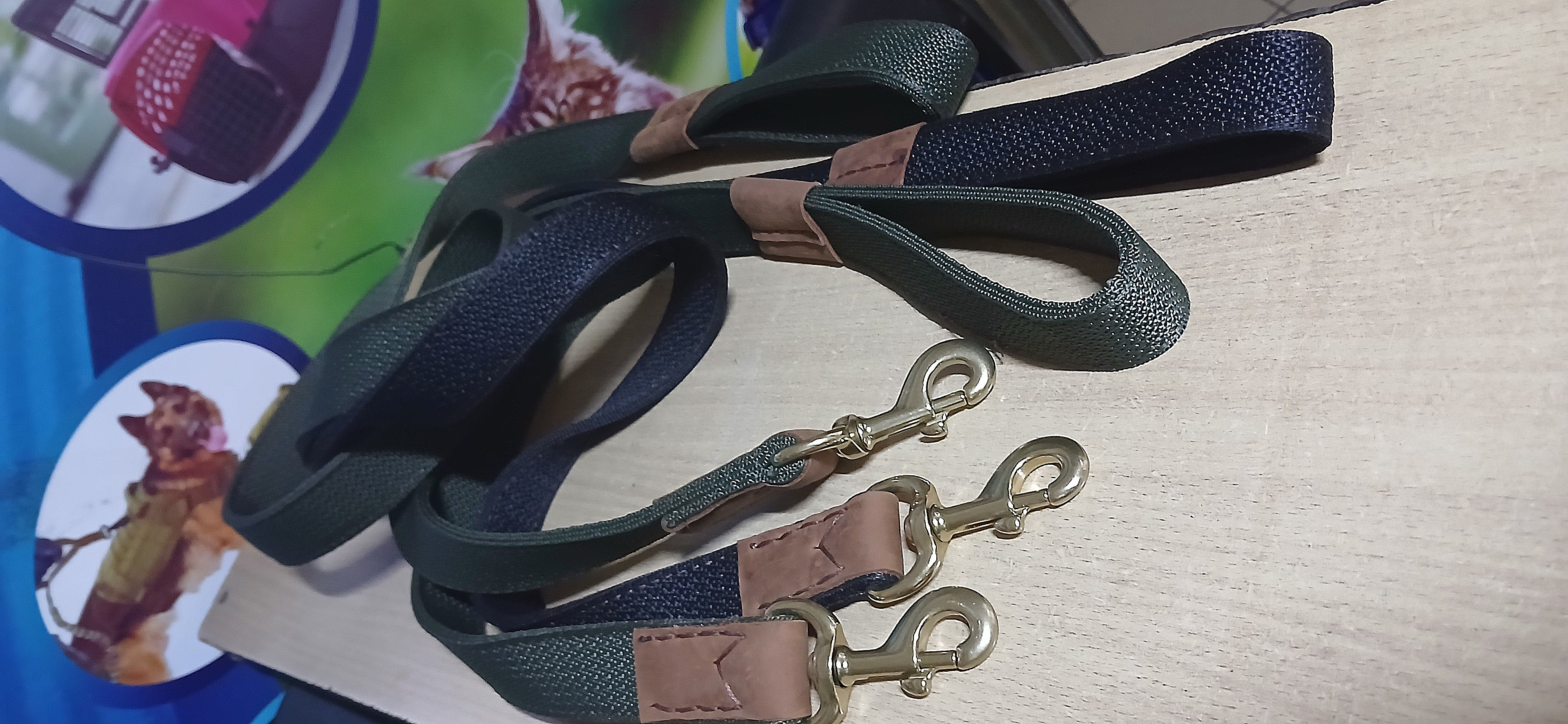 Dog leash